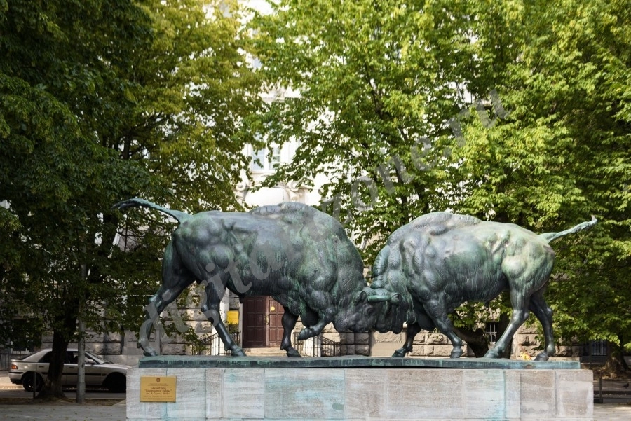 Скульптура в виде двух борющихся зубров в городе Калининград.