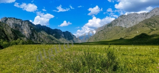 Горный пейзаж с зеленым лугом на переднем плане в ясный летний