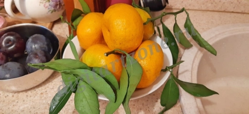 Вкусные фрукты на столе