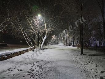 Фонари в ночном парке зимой. Зимний ночной парк.