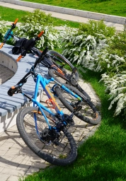 Велосипеды облокоченные на скамью посреди парковых аллей.