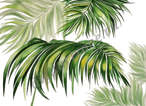 Пальмовые ветви