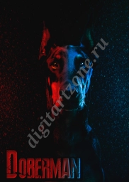 Doberman