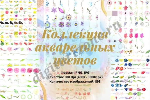 Коллекция Акварельных Цветов