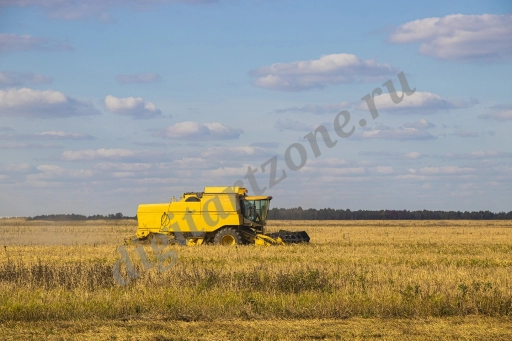 Комбайн в поле (2 фото)