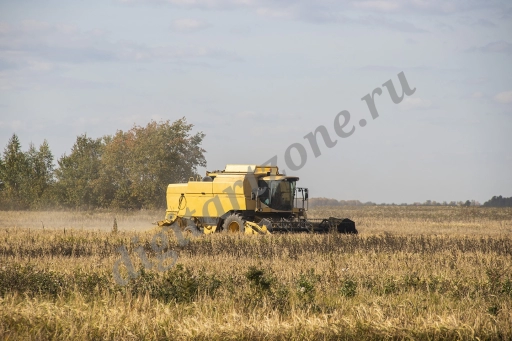 Комбайн в поле (2 фото)