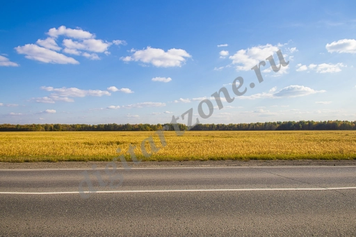 Дорога через поле