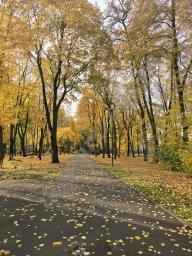 Осенний парк