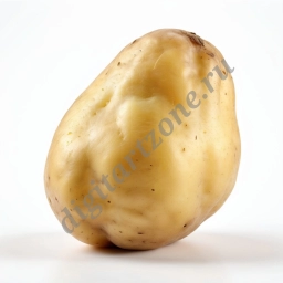 Картофель (6 шт)