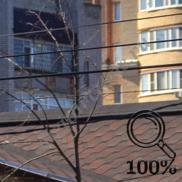 Город и деревня