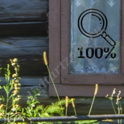 Окно старого дома