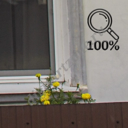 Старый дом