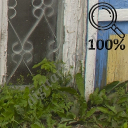 Окна старого дома