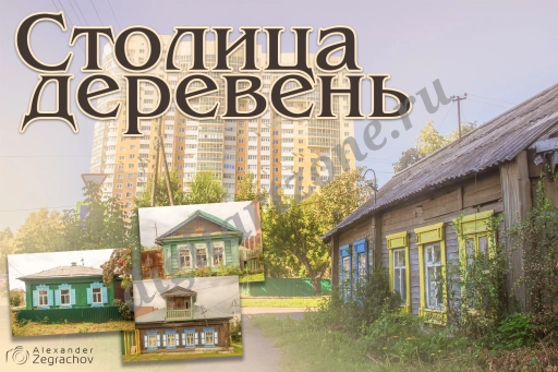Деревенские дома (136 фото)